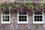 Floral sliding sash windows in Gloucester